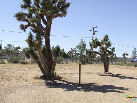 3696 Ruidosa Ave, Yucca Valley, CA 92284 photo 10