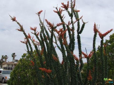 3696 Ruidosa Ave, Yucca Valley, CA 92284 photo 3