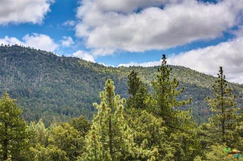 54740 Falling Leaf Dr, Idyllwild, CA 92549 photo 46