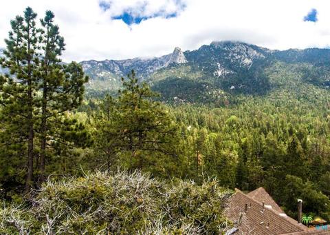 54740 Falling Leaf Dr, Idyllwild, CA 92549 photo 51