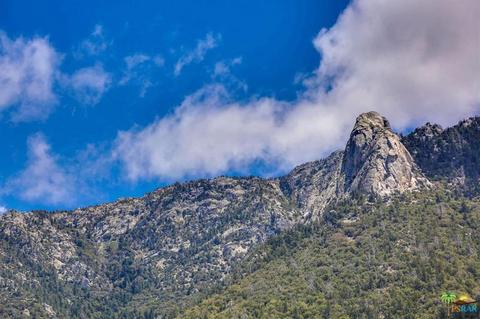 54740 Falling Leaf Dr, Idyllwild, CA 92549 photo 49