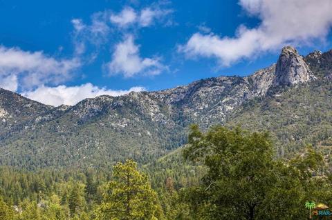 54740 Falling Leaf Dr, Idyllwild, CA 92549 photo 48