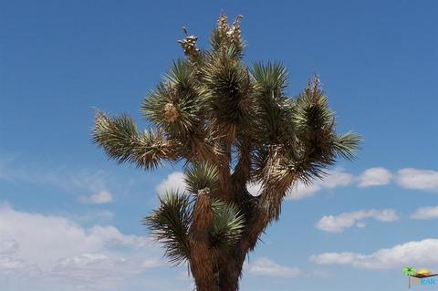 58298 Starlight Mesa Rd, Yucca Valley, CA 92284 photo 25