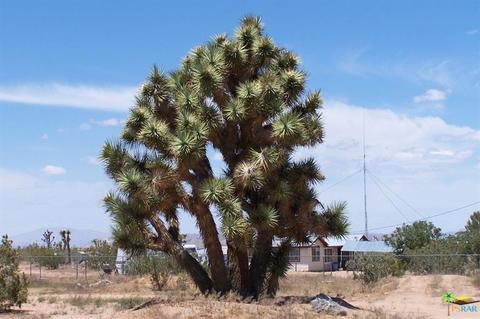 58298 Starlight Mesa Rd, Yucca Valley, CA 92284 photo 29