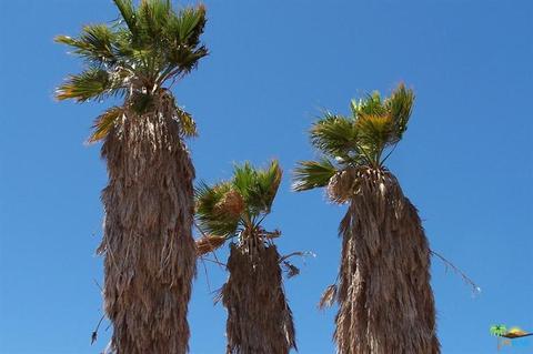 58298 Starlight Mesa Rd, Yucca Valley, CA 92284 photo 22
