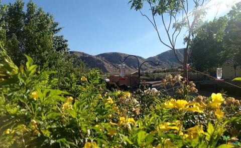 10366 San Gorgonio Ave, Morongo Valley, CA 92256 photo 52