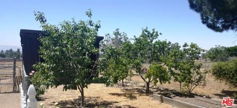 10213 Jonathan Ave, Cherry Valley, CA 92223 photo 31