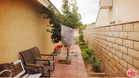 14958 Tournament Dr, Helendale, CA 92342 photo 27