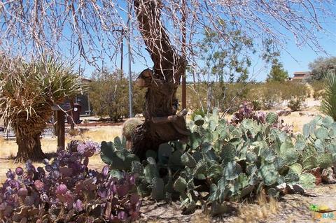 63425 Kelly Cir, Joshua Tree, CA 92252 photo 45