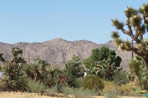 8055 Aster Ave, Yucca Valley, CA 92284 photo 32