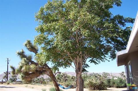 8055 Aster Ave, Yucca Valley, CA 92284 photo 30