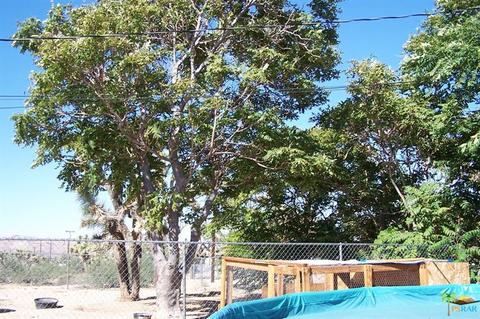8055 Aster Ave, Yucca Valley, CA 92284 photo 28