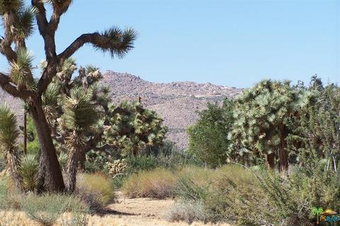 8055 Aster Ave, Yucca Valley, CA 92284 photo 33
