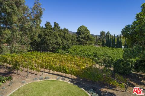 7410 Shepard Mesa Rd, Carpinteria, CA 93013 photo 18