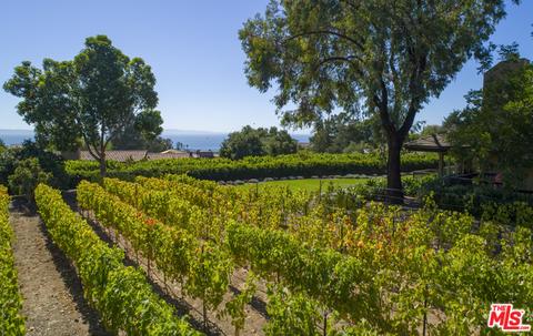 7410 Shepard Mesa Rd, Carpinteria, CA 93013 photo 17