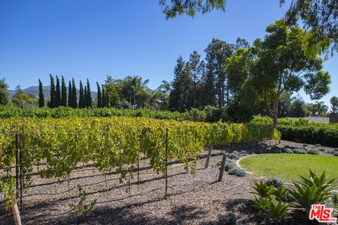 7410 Shepard Mesa Rd, Carpinteria, CA 93013 photo 19
