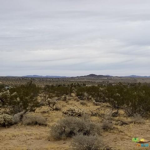 4836 Avenida La Manana, Joshua Tree, CA 92252 photo 6