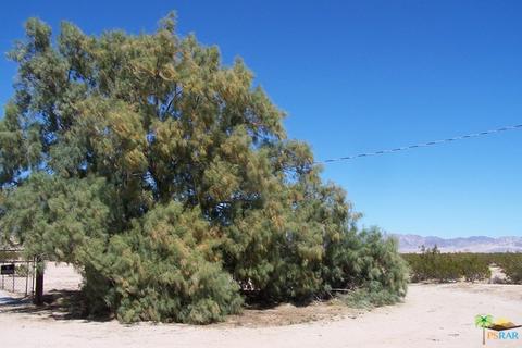 133 Cascade Rd, Joshua Tree, CA 92252 photo 21