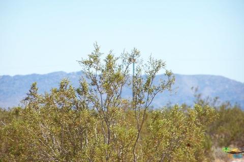 133 Cascade Rd, Joshua Tree, CA 92252 photo 23