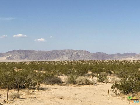 66124 Daisy Ln, Joshua Tree, CA 92252 photo 23