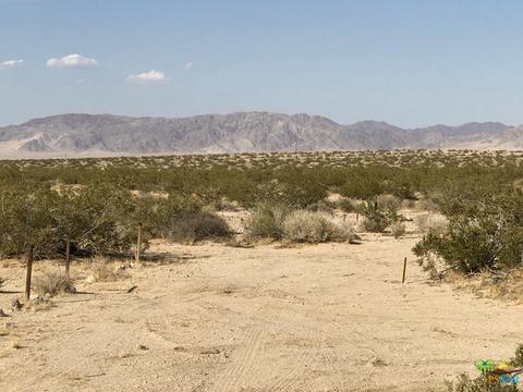 66124 Daisy Ln, Joshua Tree, CA 92252 photo 24