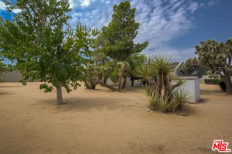 7475 Indio Ave, Yucca Valley, CA 92284 photo 46
