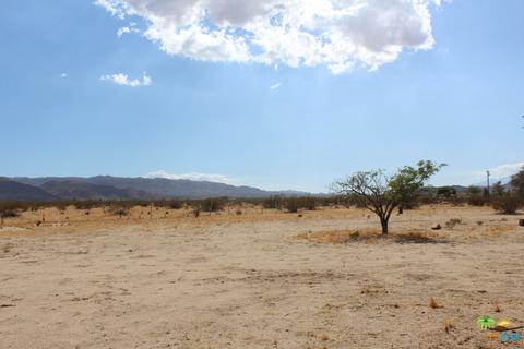 64343 E Broadway, Joshua Tree, CA 92252 photo 7