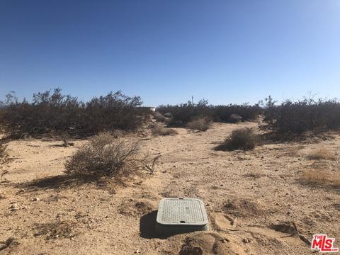 66054 Daisy Ln, Joshua Tree, CA 92252 photo 5