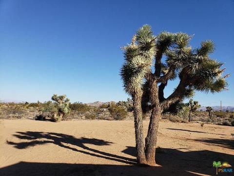 3225 Balsa Ave, Yucca Valley, CA 92284 photo 30