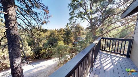 52853 Cedar Crest Dr, Idyllwild, CA 92549 photo 22