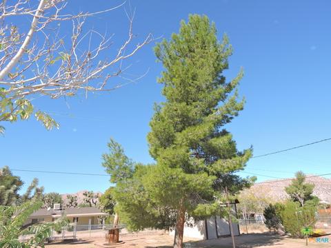 7586 Inca, Yucca Valley, CA 92284 photo 28