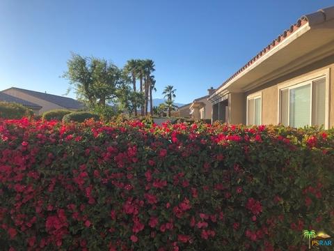 81171 Avenida Castelar, Indio, CA 92203 photo 23