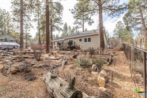 1110 Mitchell Ln, Big Bear City, CA 92314 photo 29