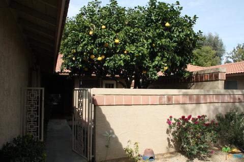 82166 Ullman Rd, Indio, CA 92201 photo 29