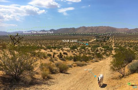 6310 Olympic Rd, Joshua Tree, CA 92252 photo 6