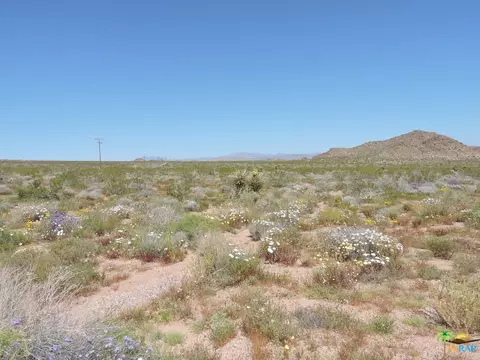 54836 Alderman Rd, Johnson Valley, CA 92285 photo 18