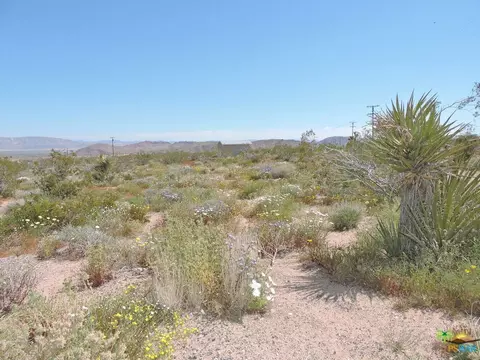 54836 Alderman Rd, Johnson Valley, CA 92285 photo 11