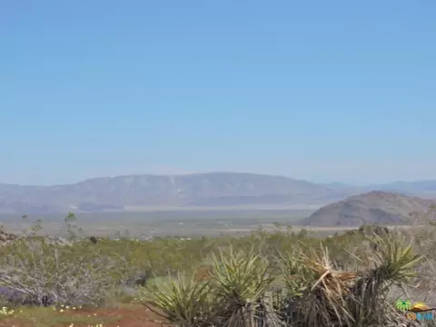 54836 Alderman Rd, Johnson Valley, CA 92285 photo 3