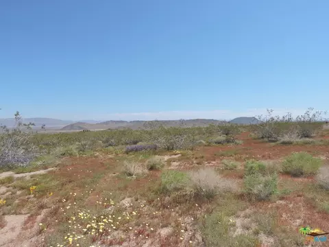 54836 Alderman Rd, Johnson Valley, CA 92285 photo 28