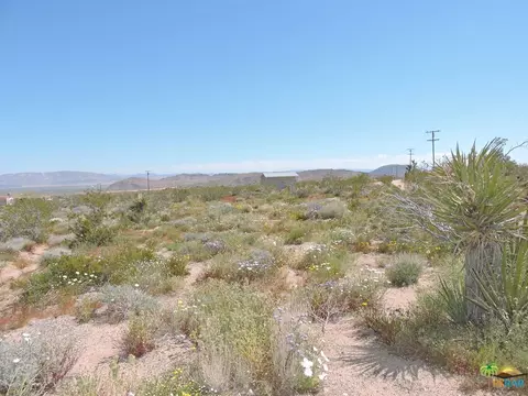54836 Alderman Rd, Johnson Valley, CA 92285 photo 7