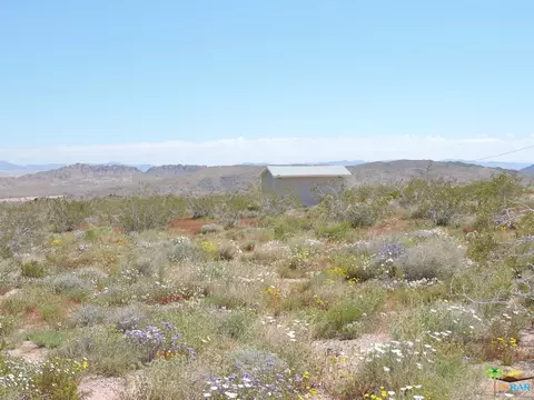 54836 Alderman Rd, Johnson Valley, CA 92285 photo 2