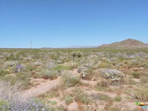 54836 Alderman Rd, Johnson Valley, CA 92285 photo 22