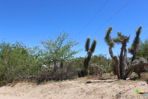 6880 Outpost Rd, Joshua Tree, CA 92252 photo 38