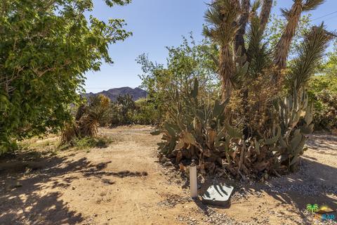 6880 Outpost Rd, Joshua Tree, CA 92252 photo 2