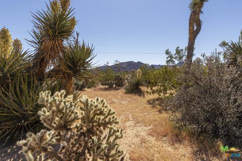 6880 Outpost Rd, Joshua Tree, CA 92252 photo 4
