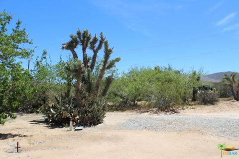 6880 Outpost Rd, Joshua Tree, CA 92252 photo 39