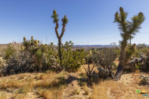 6880 Outpost Rd, Joshua Tree, CA 92252 photo 3