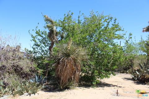 6880 Outpost Rd, Joshua Tree, CA 92252 photo 40