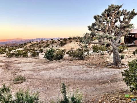 62165 Holiday Way, Joshua Tree, CA 92252 photo 29