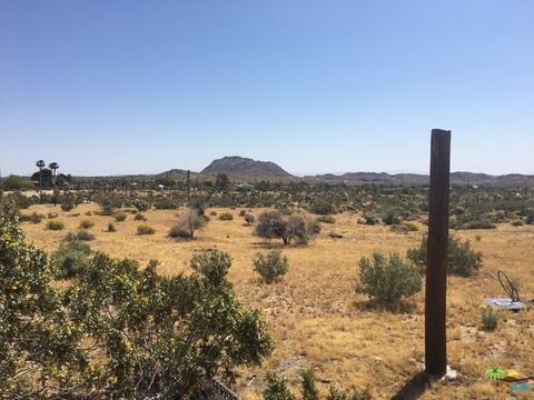 5289 Indio Ave, Yucca Valley, CA 92284 photo 30